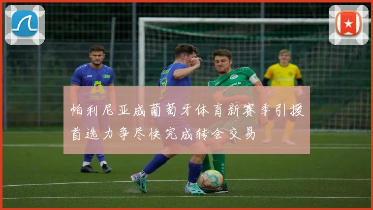 帕利尼亚成葡萄牙体育新赛季引援首选力争尽快完成转会交易