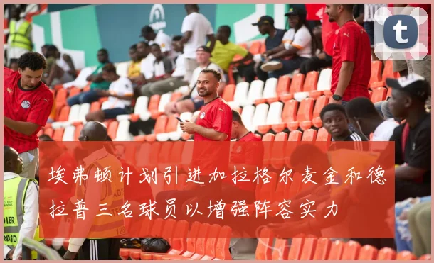 埃弗顿计划引进加拉格尔麦金和德拉普三名球员以增强阵容实力